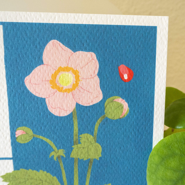 Illustrations du calendrier 2024