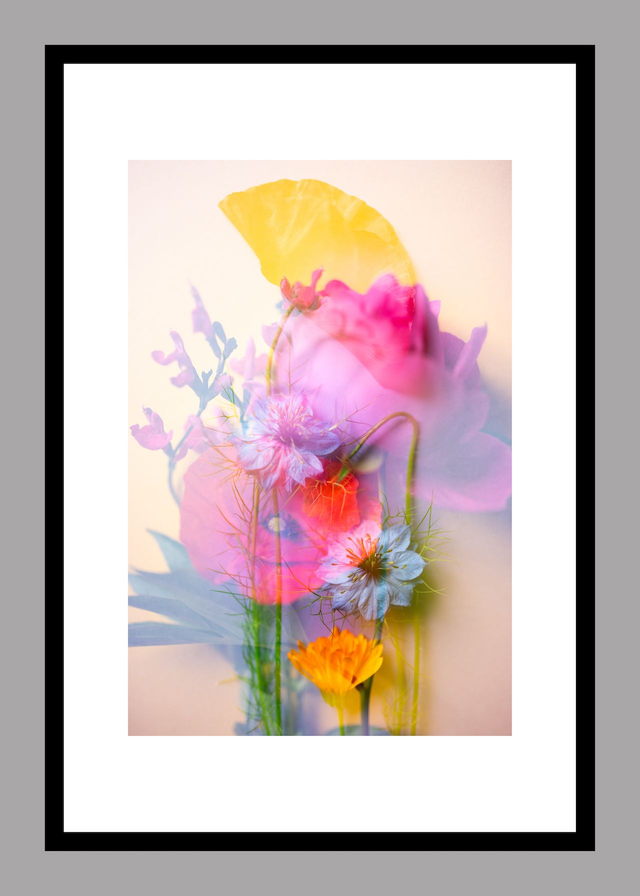 Collection du printemps * 11