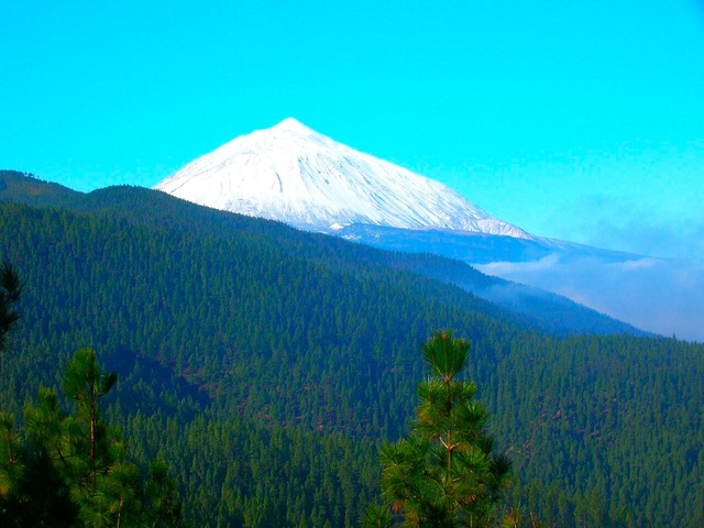 Teide: del Mar a las Nubes