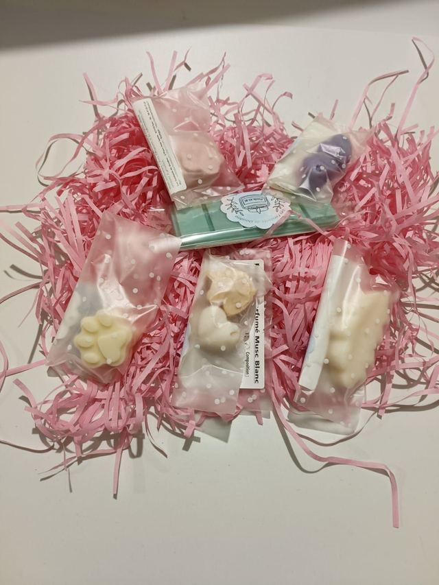 Pochette des Lutins