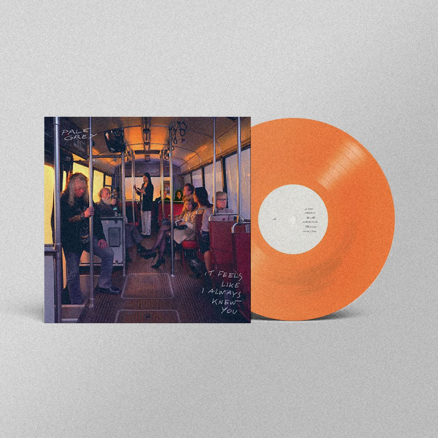 Pale Grey - It Feels Like I Always Knew You - Vinyle 