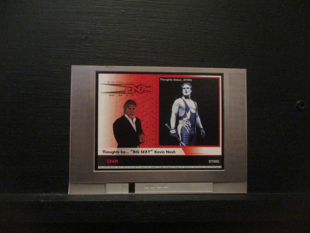 Sting - 'Thoughts About' Original Trading Card #BS-3