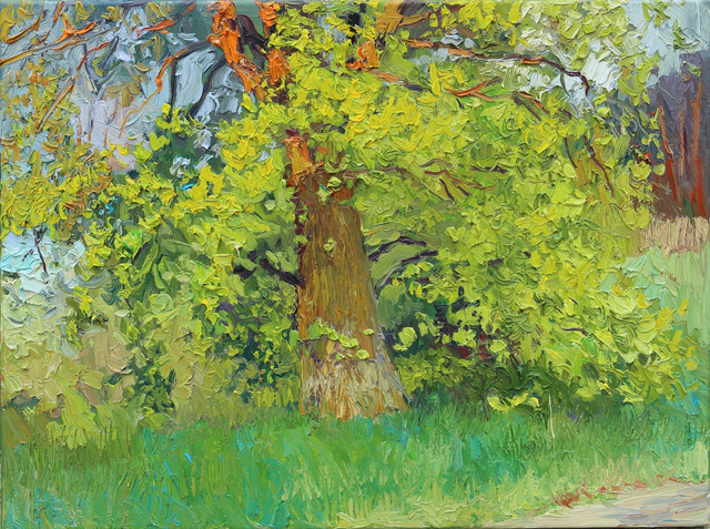 „Frühlingsgold“ Öl auf Leinwand, 60 × 80 cm