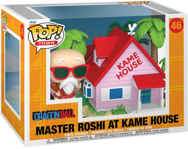 Master Roshi At Kame House - 46