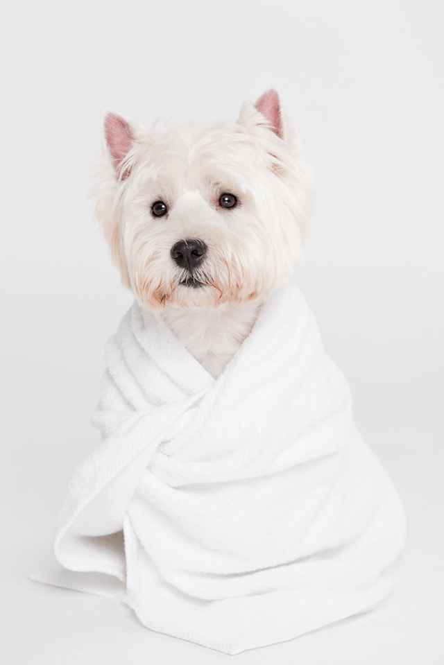 Asciugamano in Bamboo bianco - 70x95cm