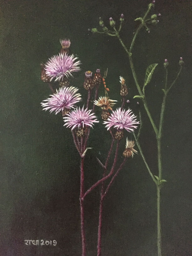 Anuradha Rajivan (Radha) - Thistle2