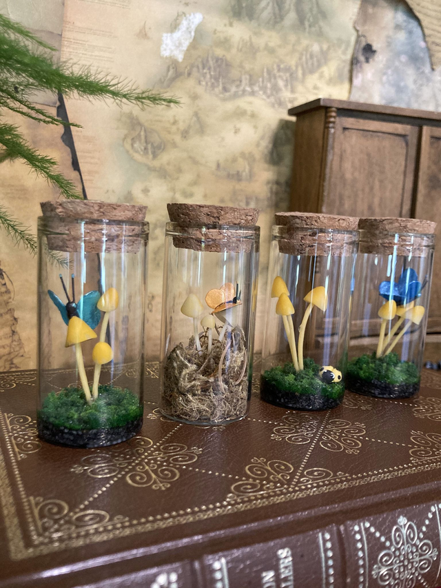 Champignons jaune féerique