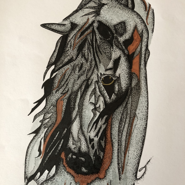 Cheval tête- 30 x 40 cm - encadrement noir