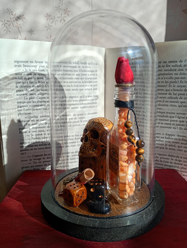 D01 pirate fleur rouge