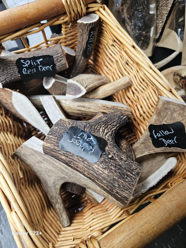  Deer Antler ( Medium) 40-60g