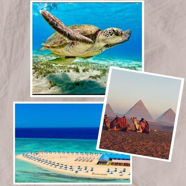 Nature and Culture package 