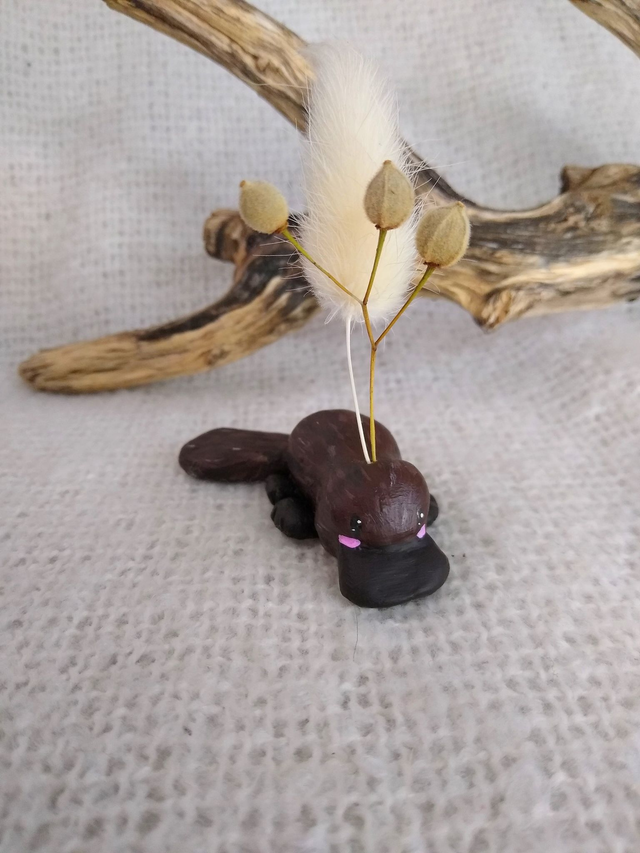 Soliflore Edmond l'Ornithorynque