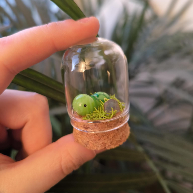 Toup'tit protecteur - Tortue