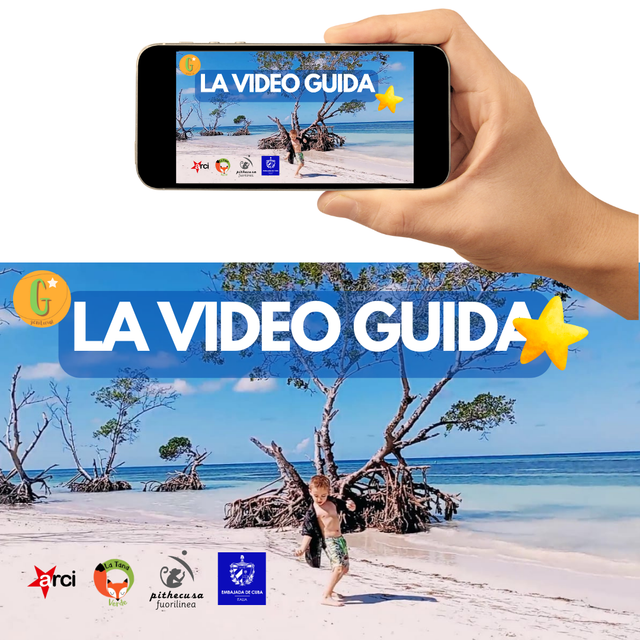 CUBA: LA VIDEO GUIDA