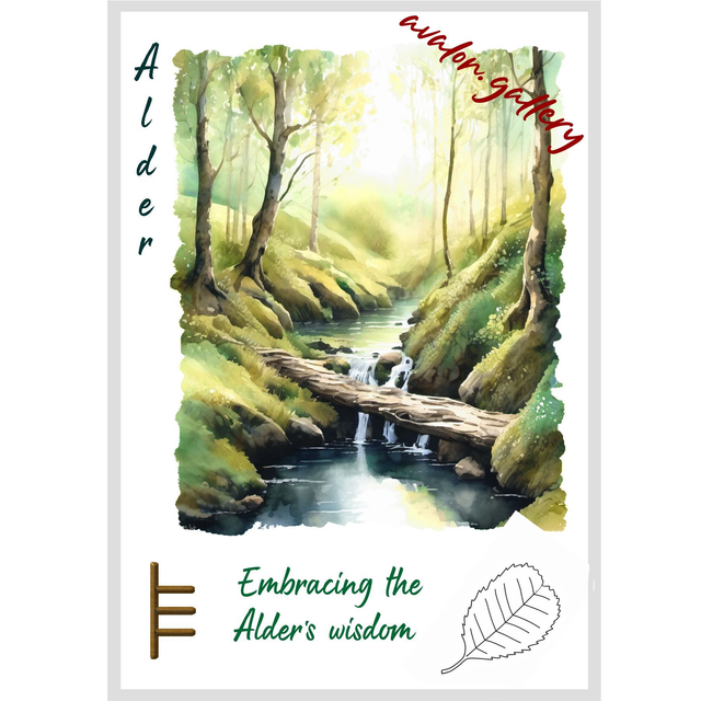 23. Alder - 'Embracing the Alder's Wisdom'