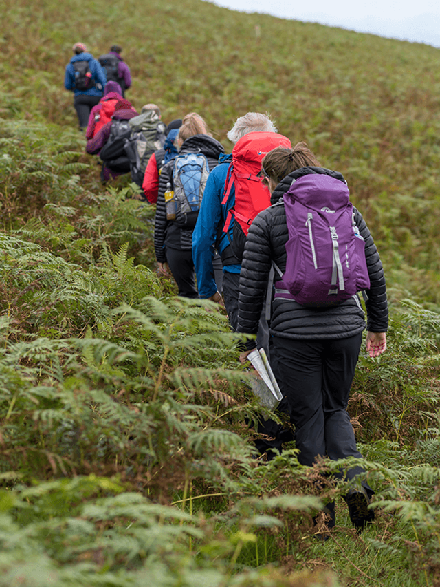Dartmoor Guided Walks. FULL DAY or half days