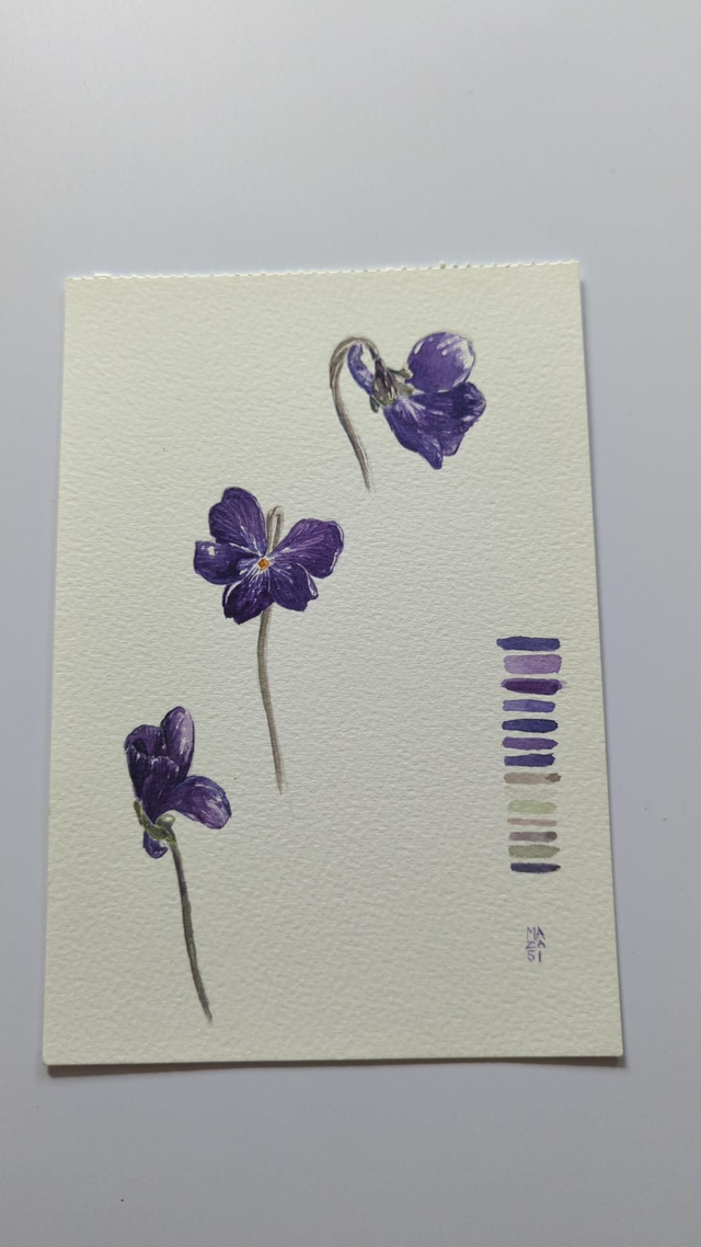 Fleur de violette