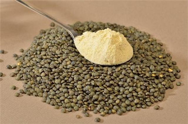 Farine - Lentilles - 500 gr