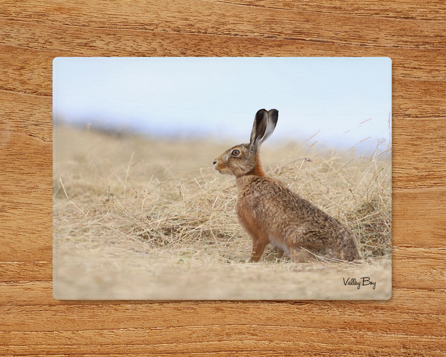 "Henry Hare" Glass Worktop Saver 