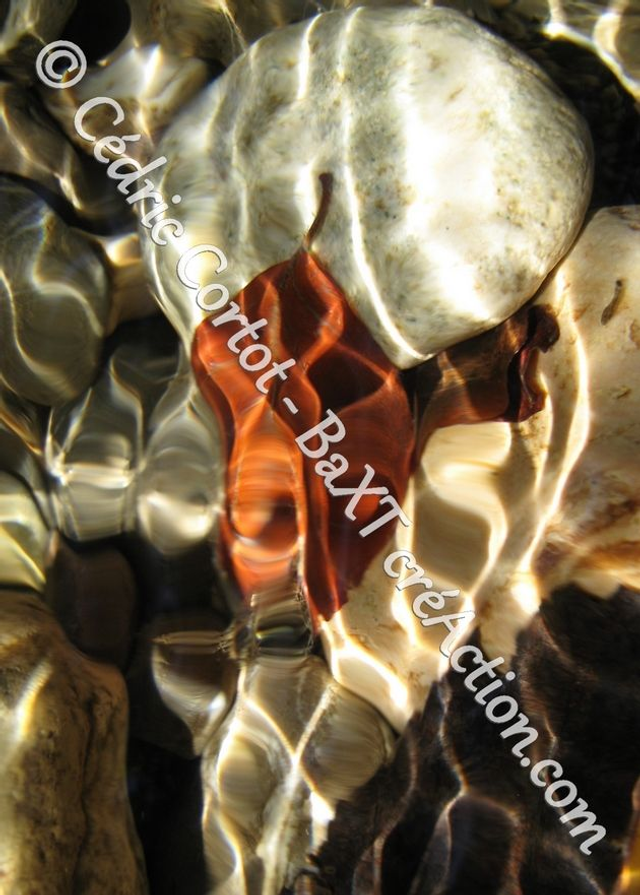 Carte postale - Reflets et cours d'Eau (Ref IMG_8290)