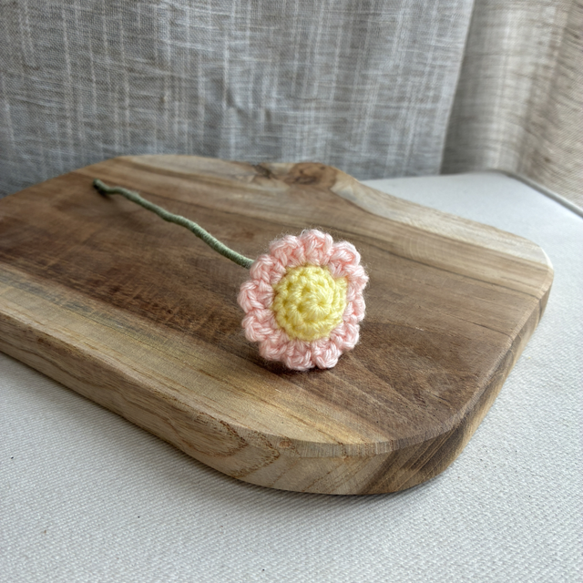 Marguerite rose claire 