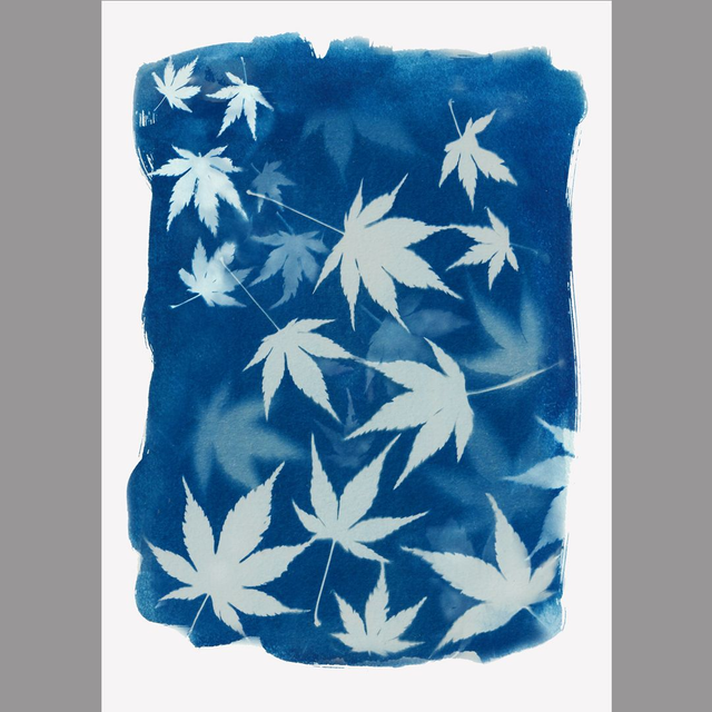 Card 'Falling Leaves'