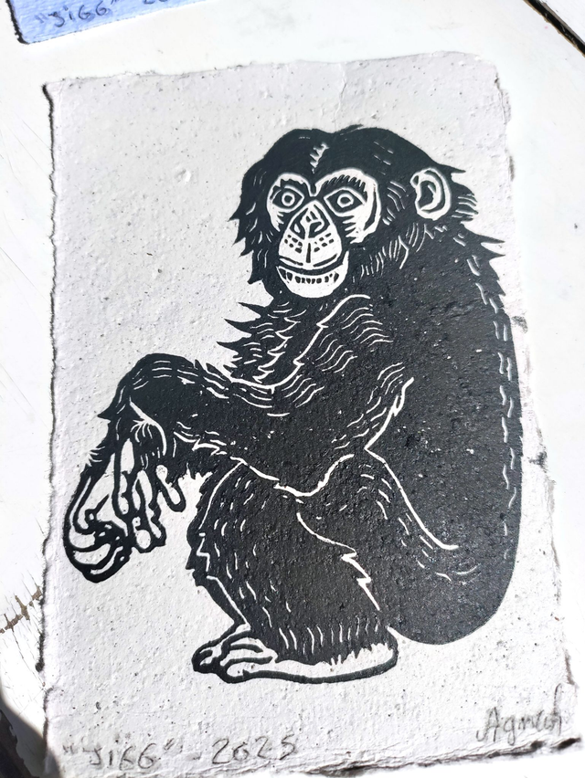 linogravure " JIgg", le chimpanzé 10X15 cm -papier café