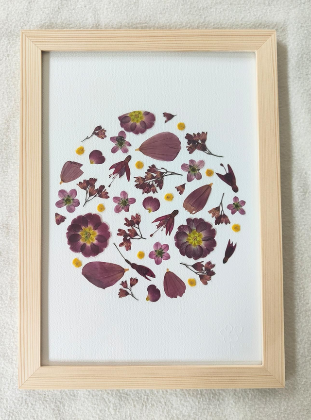 Herbier de fleurs pressées 