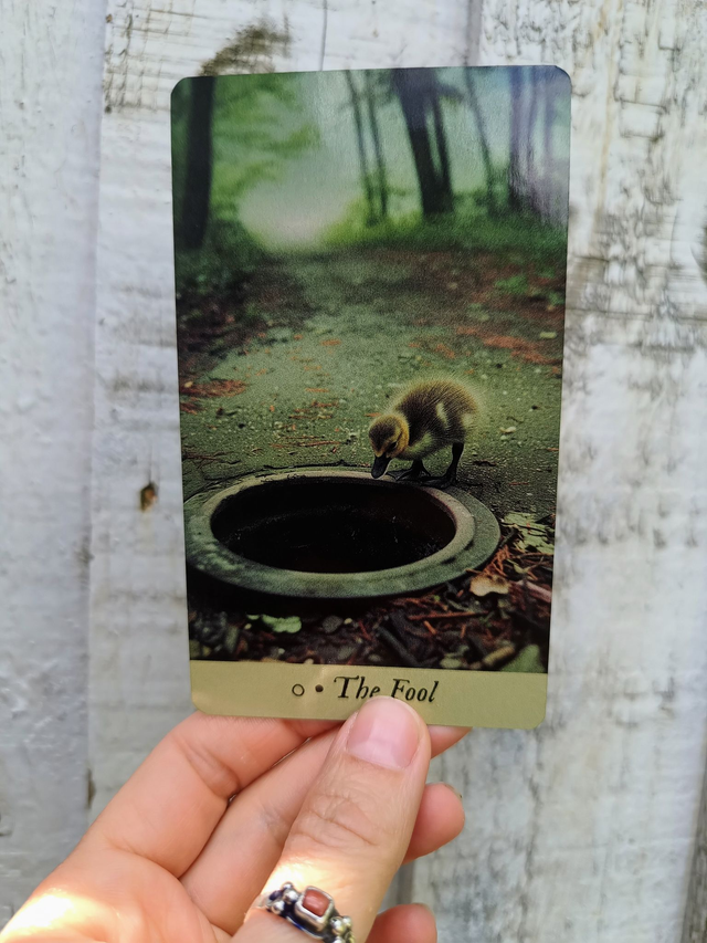 Bird King Tarot: a deck with a post-apocalyptic mystical vibe * by Lida Pavlova & Khvost