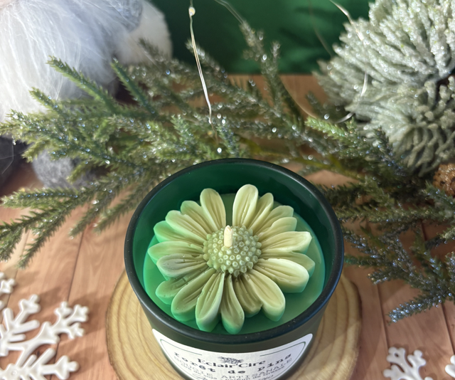 Forêt de pins 🌲 - 93gr