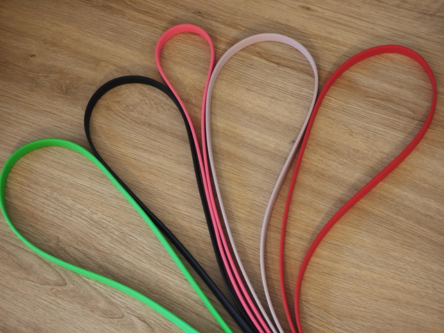 Range longes/laisses ou encore grand poignées ou mini laissesen sangle enduites (Biothane)