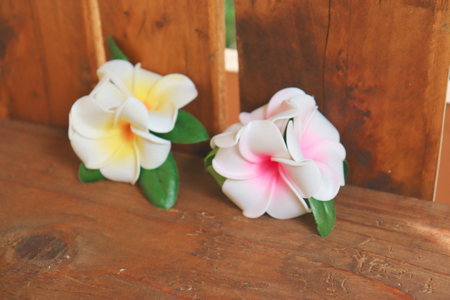 Hair flowers • tropical flowers rose