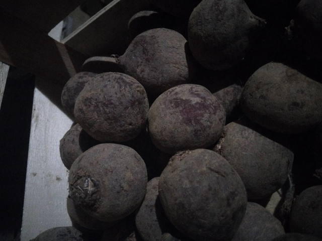 Betterave rouge bio au kg