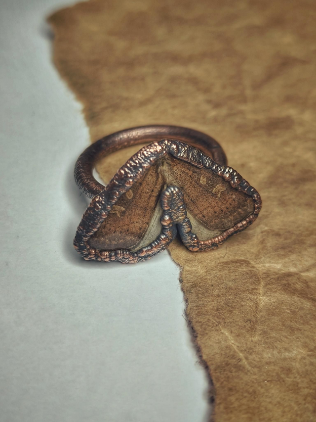 Rustic Moth Copper Ring