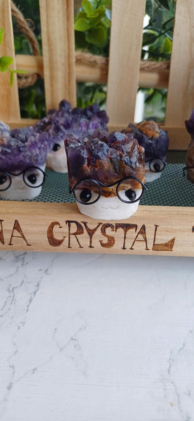 Amystein - Crystal Critter Scholar 