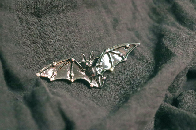 Broches • dark entries