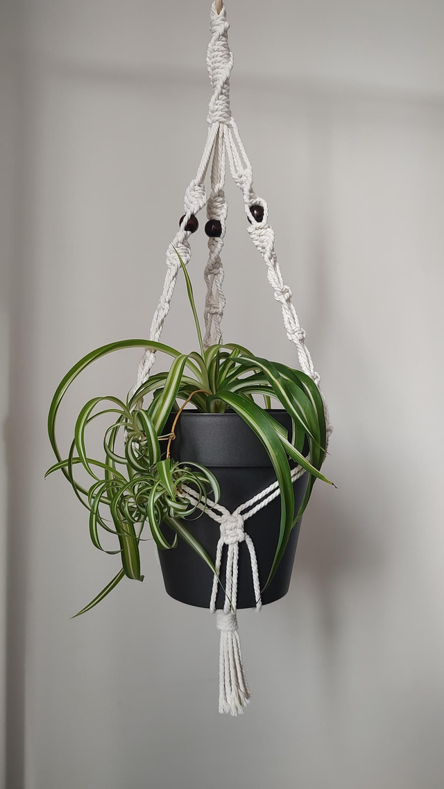 Suspension plante macramé - Déco bohème chic - Modèle 2
