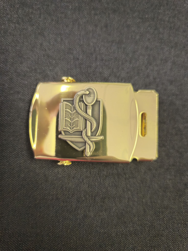 Boucle de Ceinture Bronze