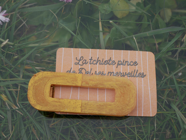 BARRETTE CHEVEUX