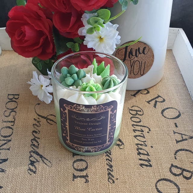Mini Cactus