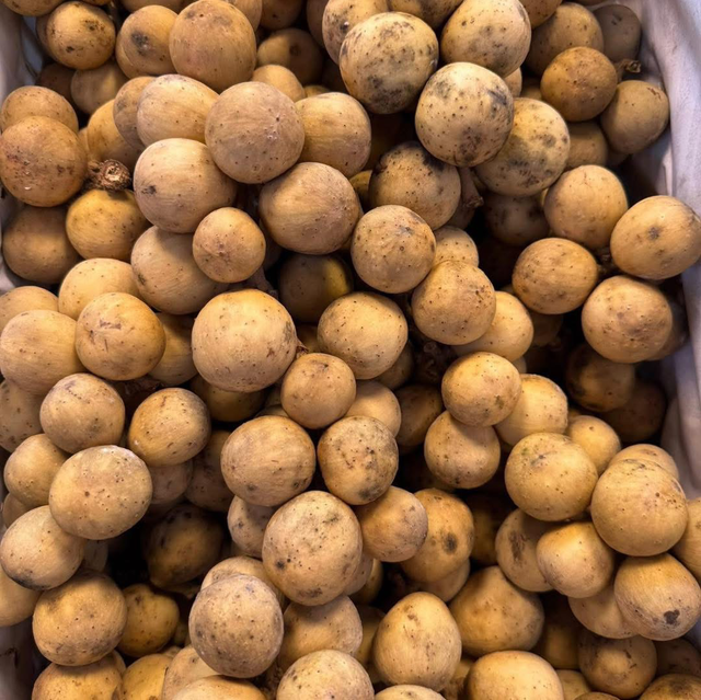 Long Kong ลองกอง 