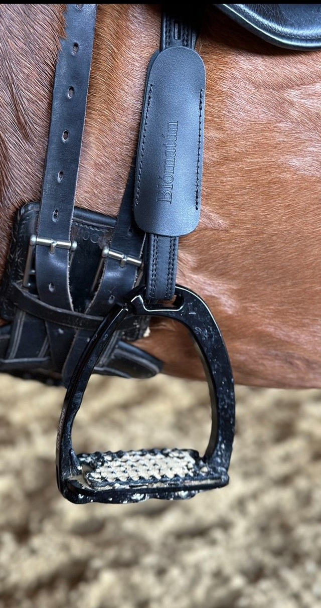 Steigbügelriemen Skelmir T-Lock