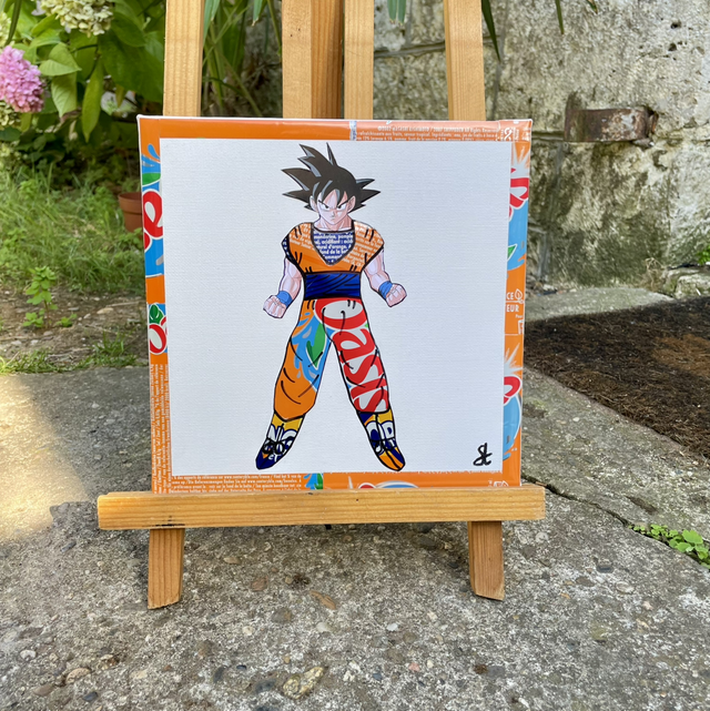 Tableau sangoku DBZ  20x20 cm