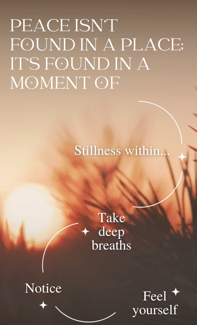 The February Reset - Feb 28th 