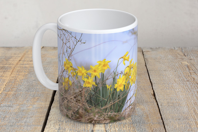 “Daffodils” Mug  