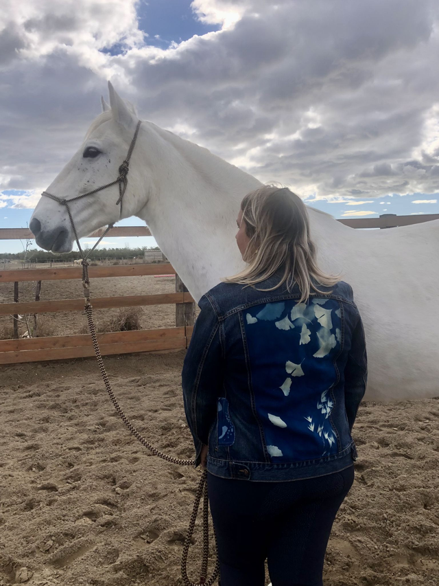 Veste "Pays de l'aurore" T42 ou M/L