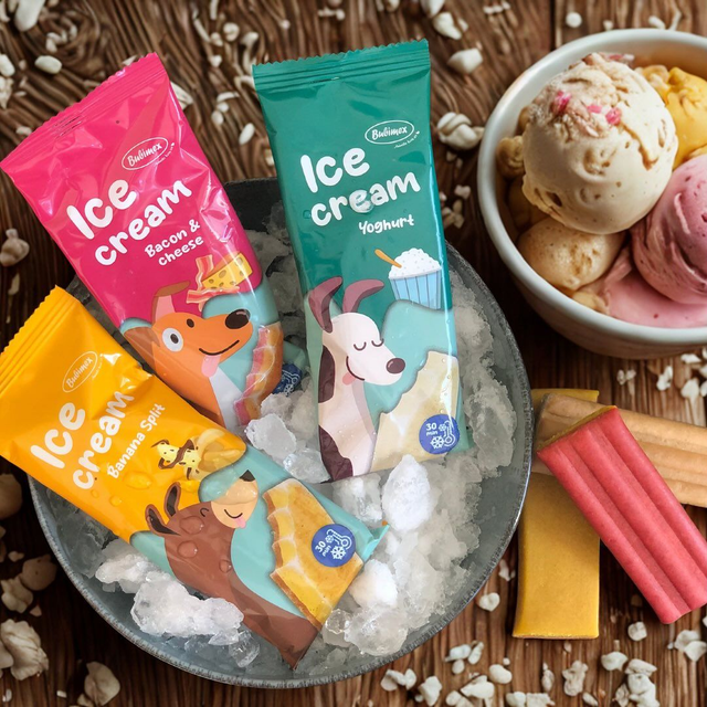 Glace pour chien