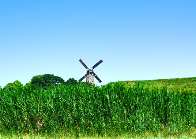 A4 Molen - Photoprint Unframed