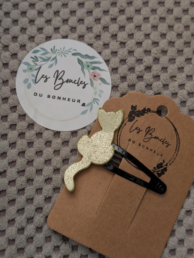 Barrette b053