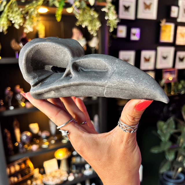 Raven Skull Carving - R50F